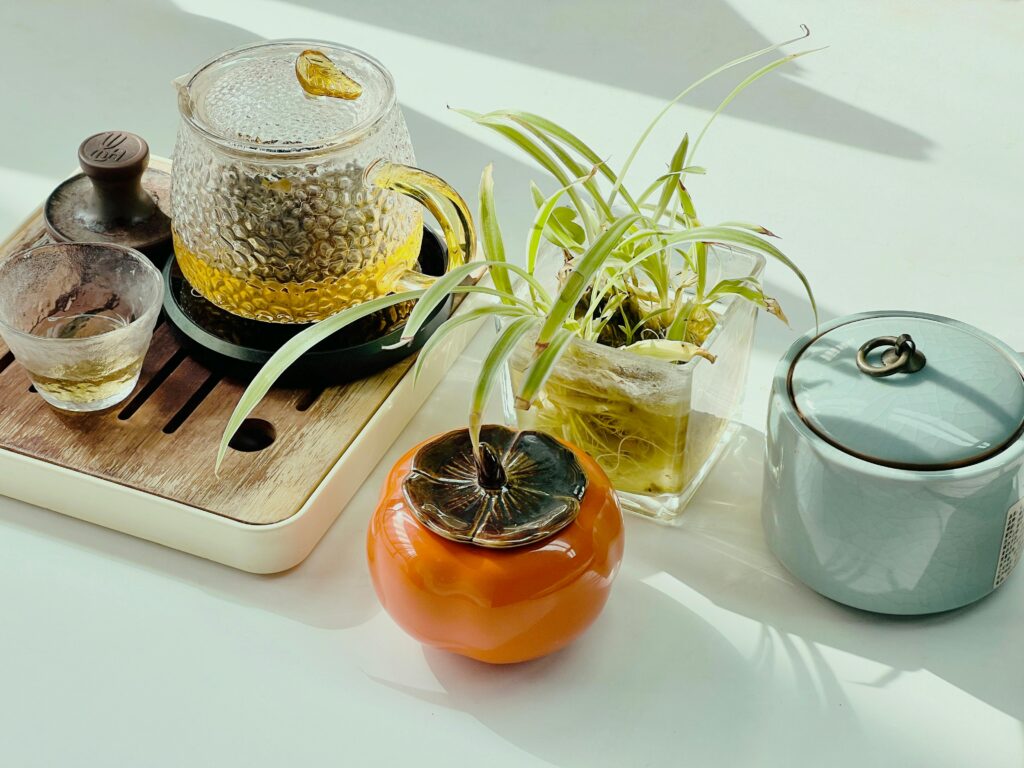 Spider Plants Growing in Water