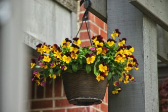 Hanging Basket Flowers