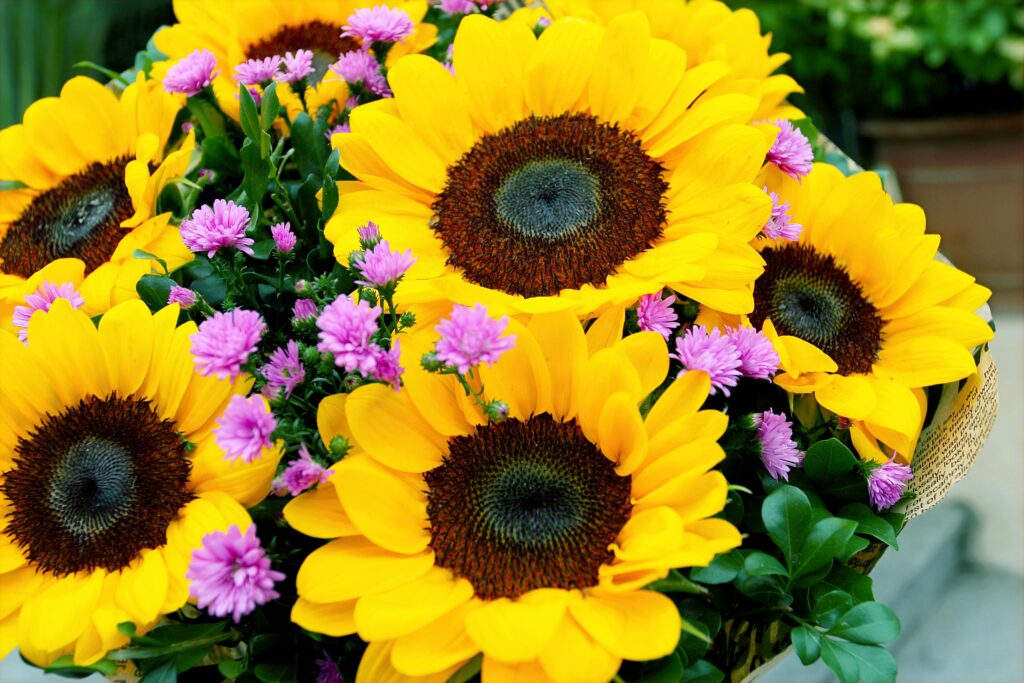 Sunflower along with other flowers