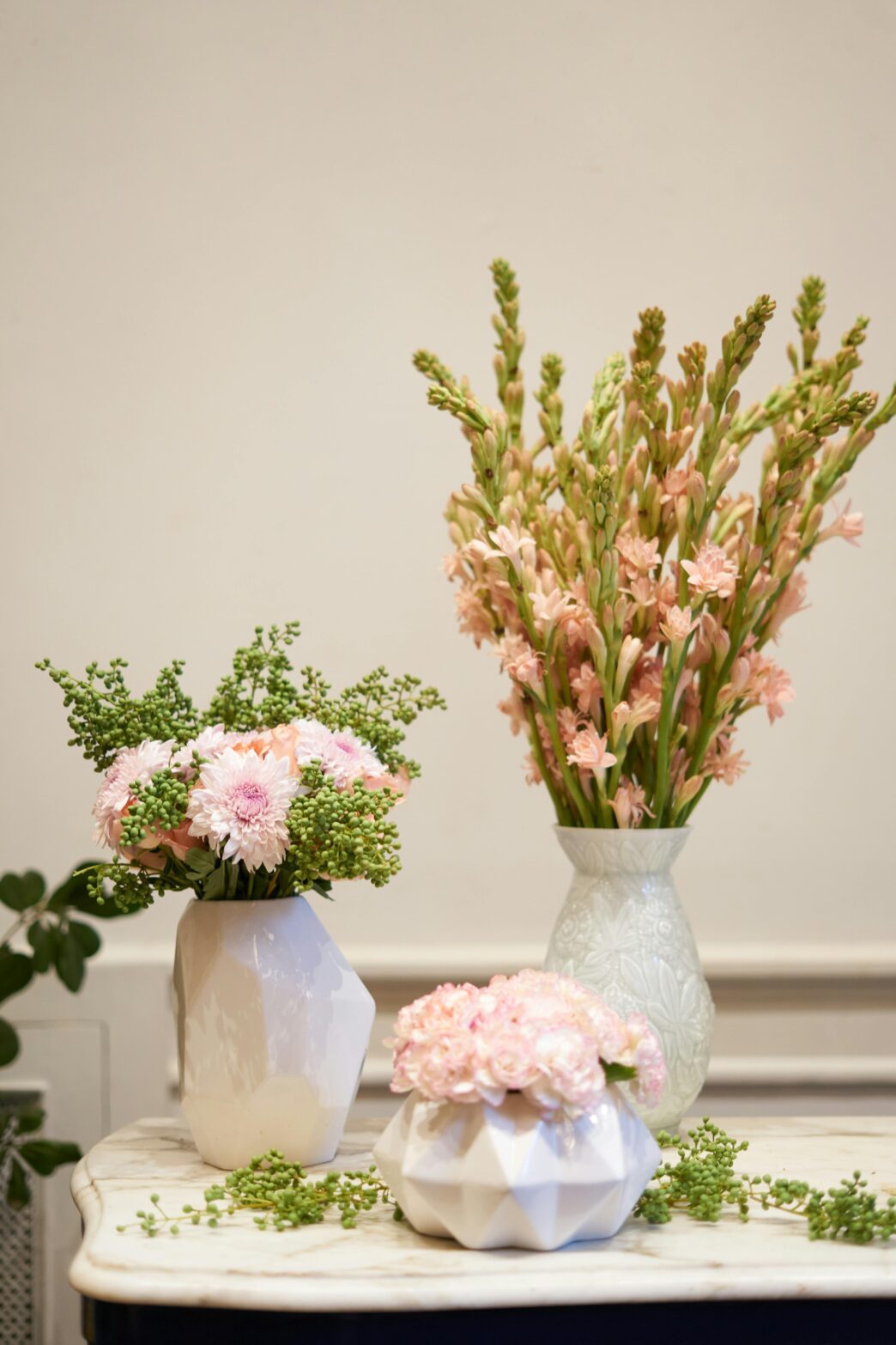 Polianthus Tuberose