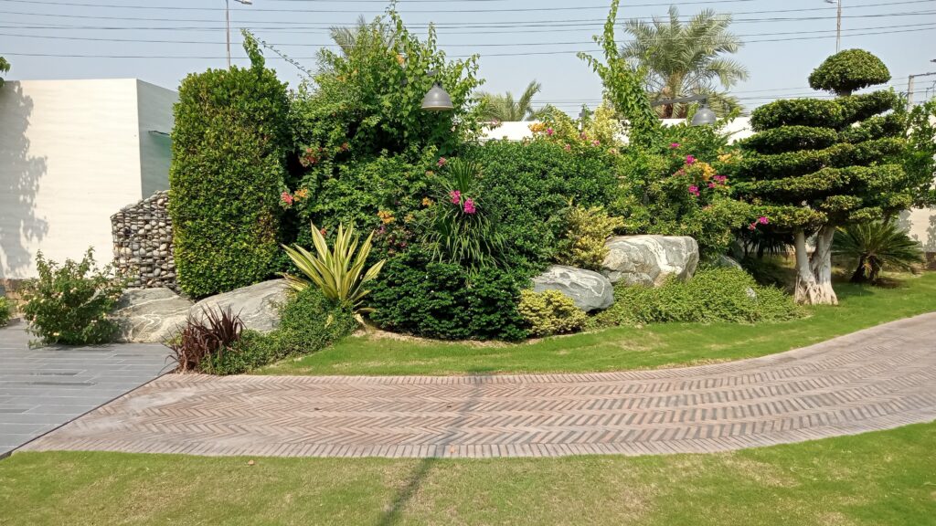 Outdoor Living Space of a House in Faisalabad 