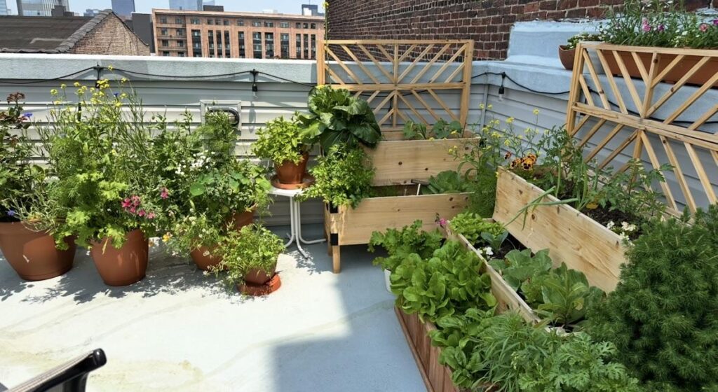 Rooftop Gardening in a corner