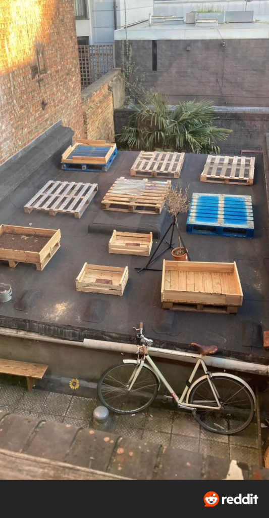 Rooftop Gardening in Pakistan