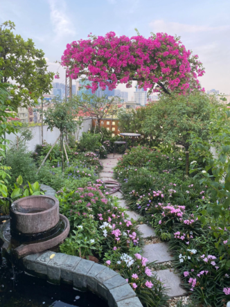 Rooftop Gardening in Pakistan