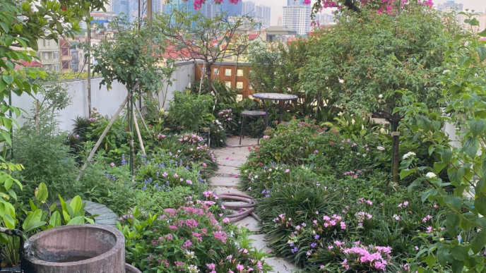 Rooftop Gardening in Pakistan