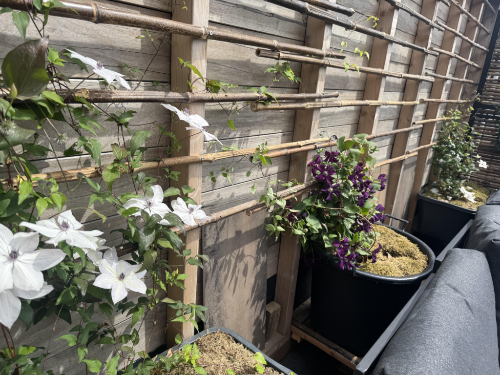 Rooftop gardening wall