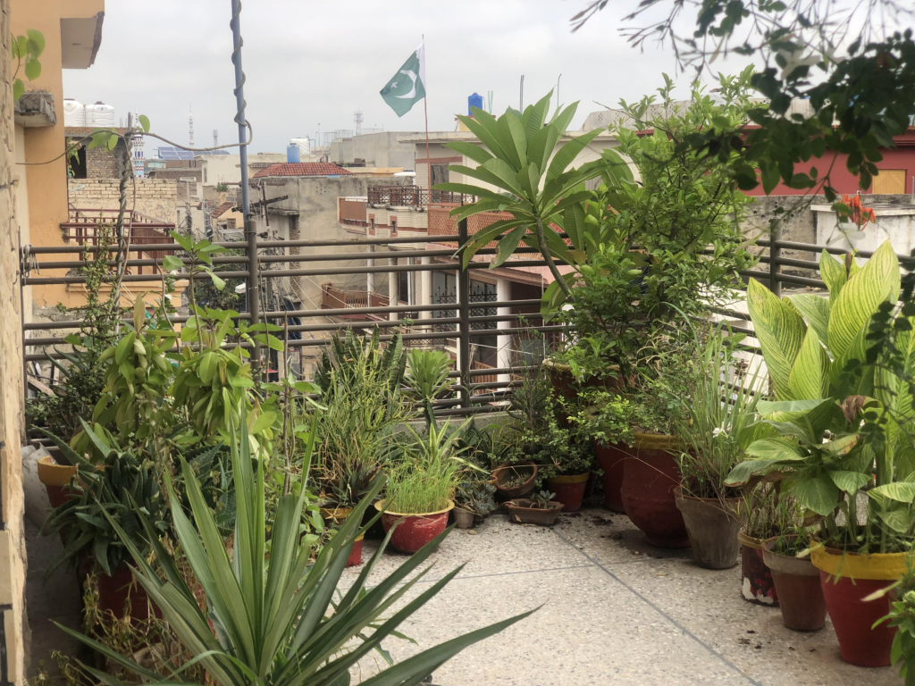 Rooftop Gardening in Islamabad