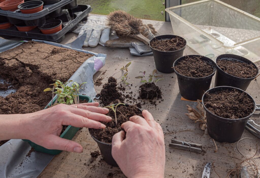 Gardening Pots