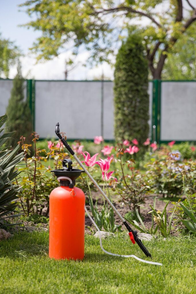 Spray of Insecticide and pesticide in Garden