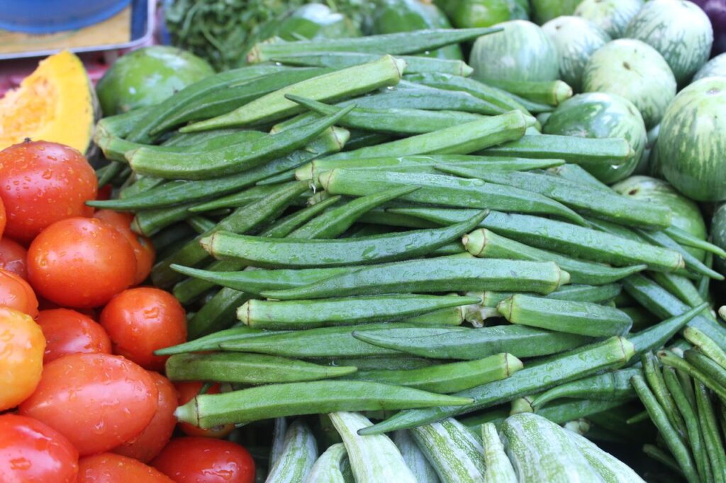 Punjab Vegetable Grown in Kitchen Gardening