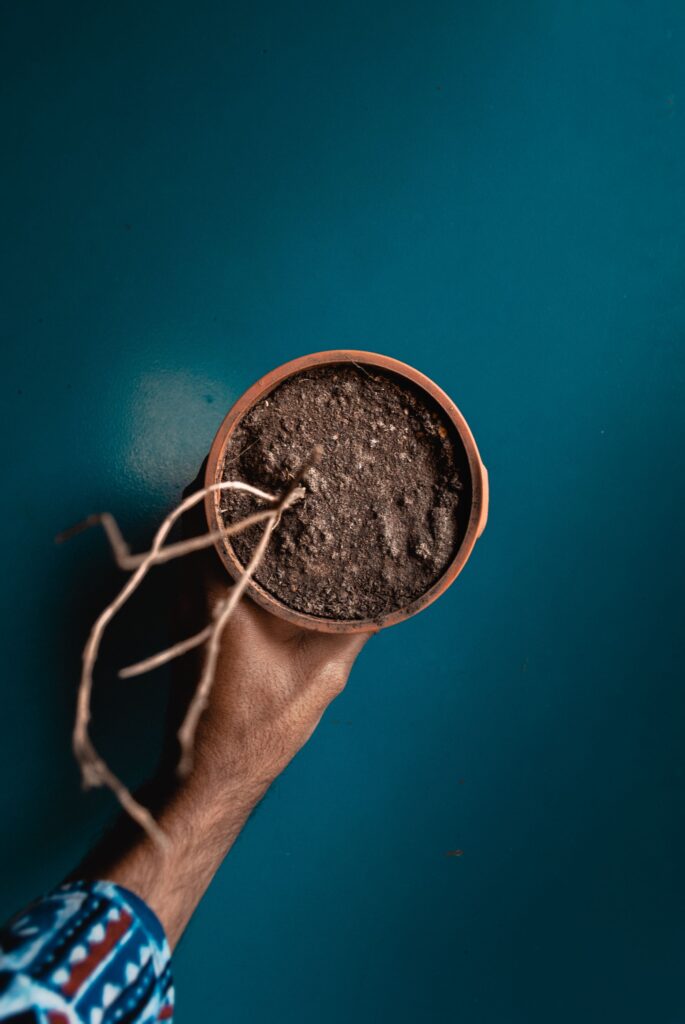Dry Pots in Summer 