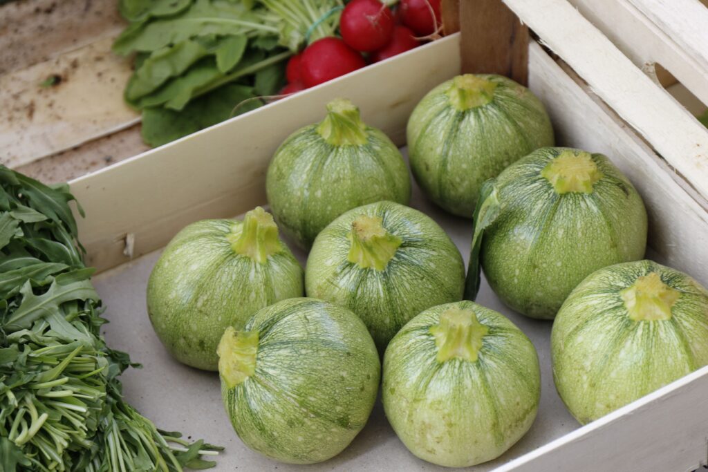 Round Guard (Tinda) Summer Grown Vegetable