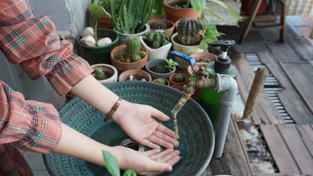 Tap Water or chlorinated water in garden