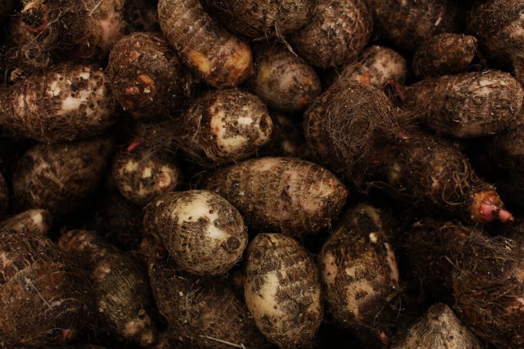 Arvi Grow in your garden