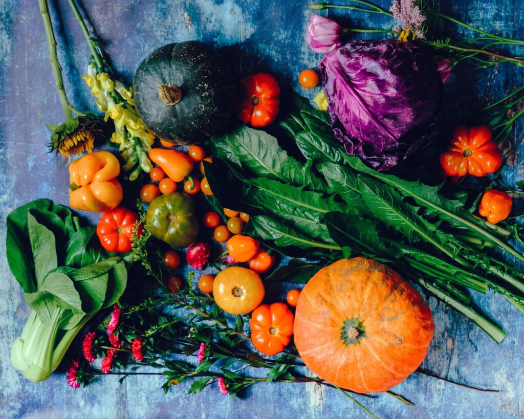 Vegetable Gardening in Pakistan