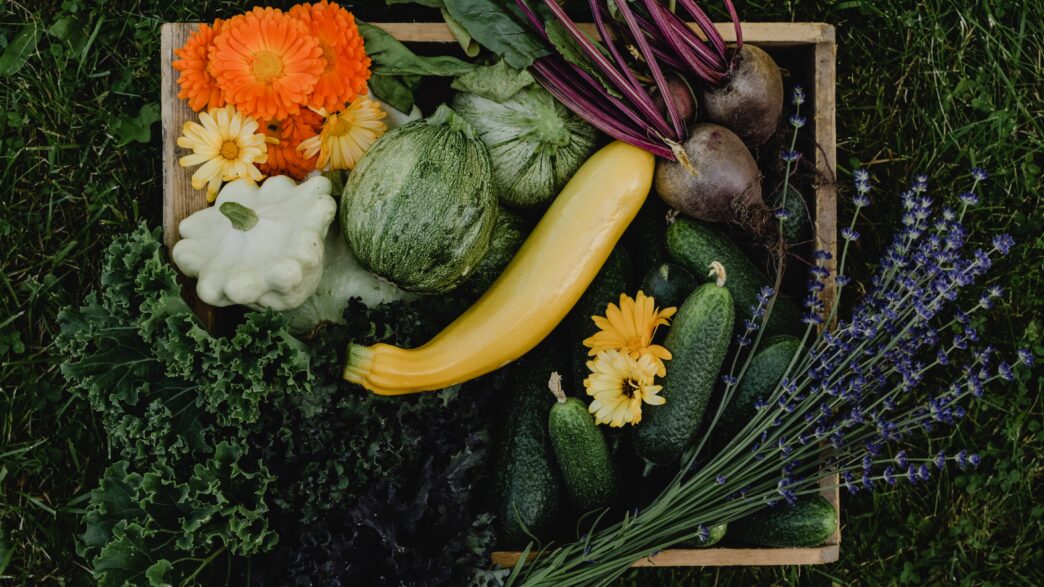 Summer Grown Vegetables in Pakistan