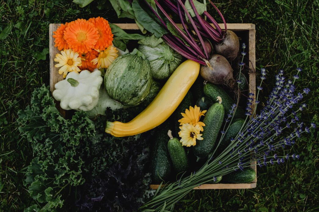 Summer Grown Vegetables in Pakistan