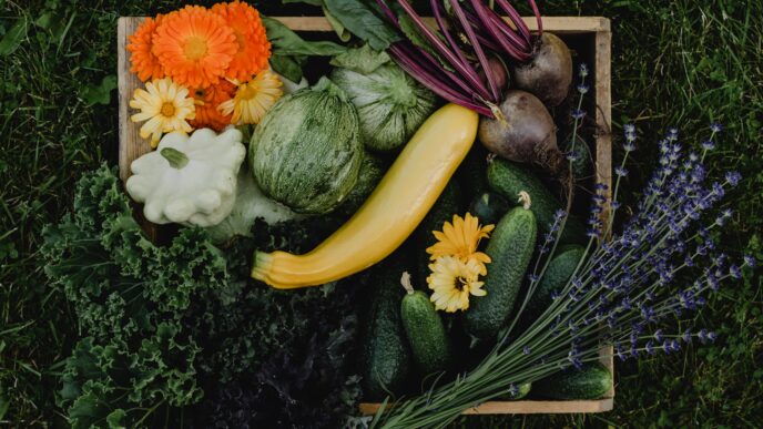 Summer Grown Vegetables in Pakistan