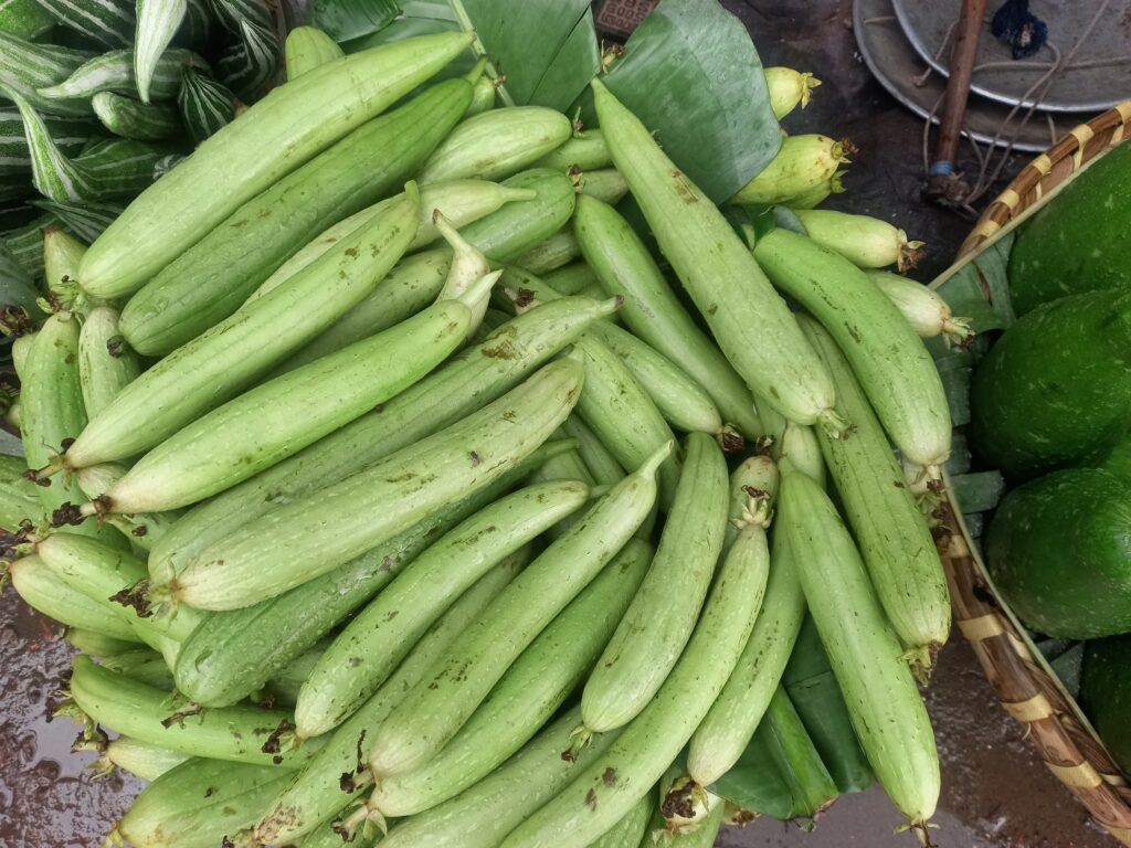 Ridge Guard Summer vegetable