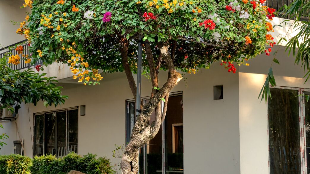 Outdoor Living Space in Pakistan