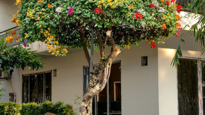 Outdoor Living Space in Pakistan