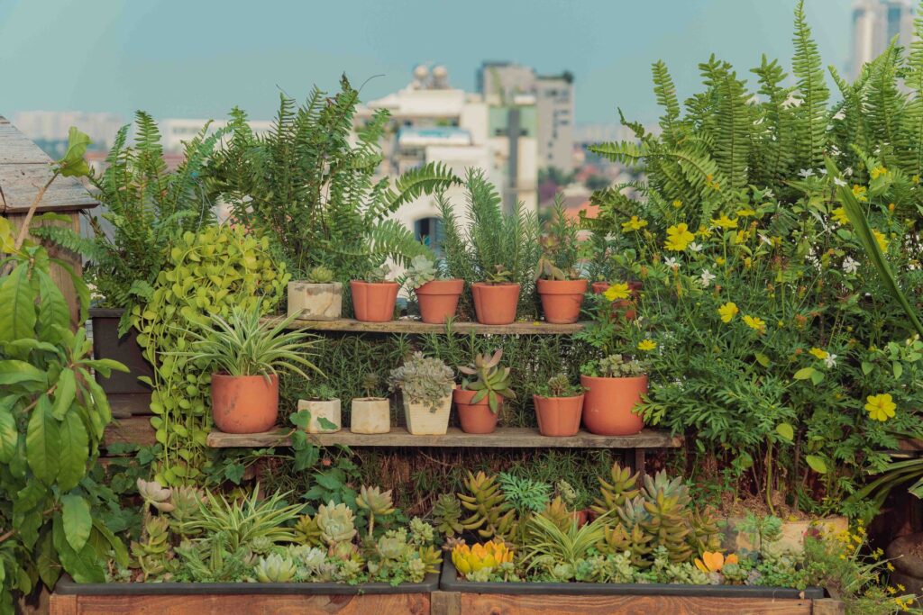 Rooftop of Balcony Gardening