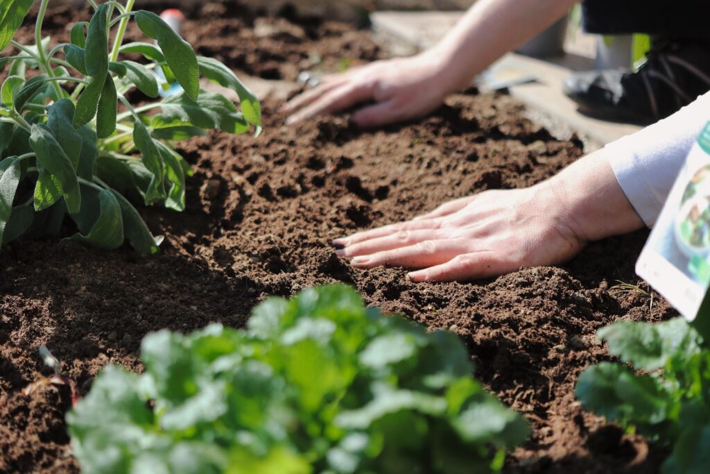 Soil for Gardening